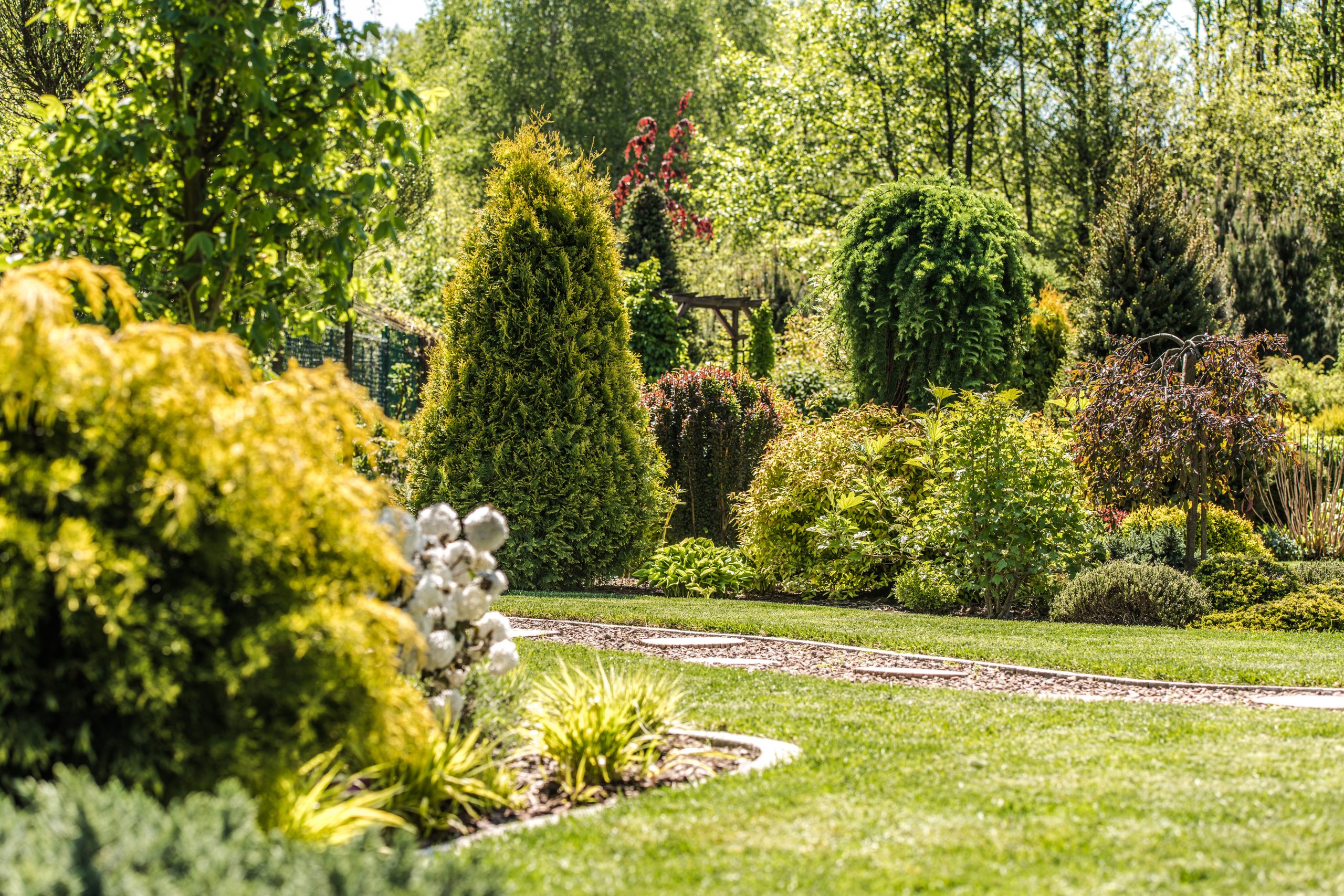 Grüner Garten